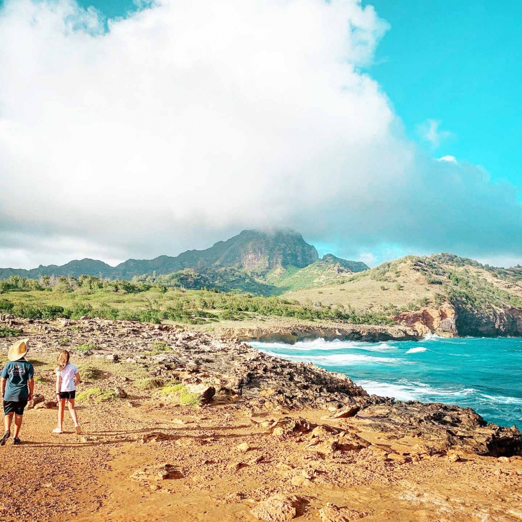 take your group on a private guided tour along the unspoiled kauai coastline kauai hiking tours