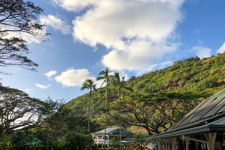 Toaluau Toa Luau At Waimea Valley Mountain