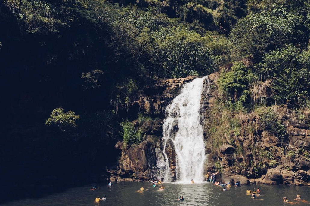 Toaluau Toa Luau At Waimea Valley Waterfall