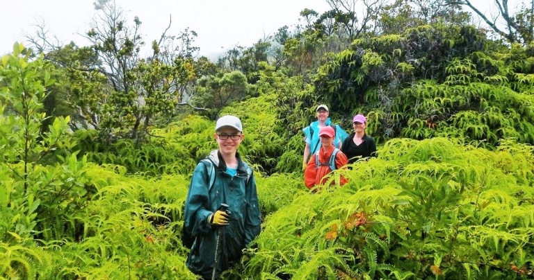 waimea canyon and kokee state park ultimate adventure kauai hiking tours