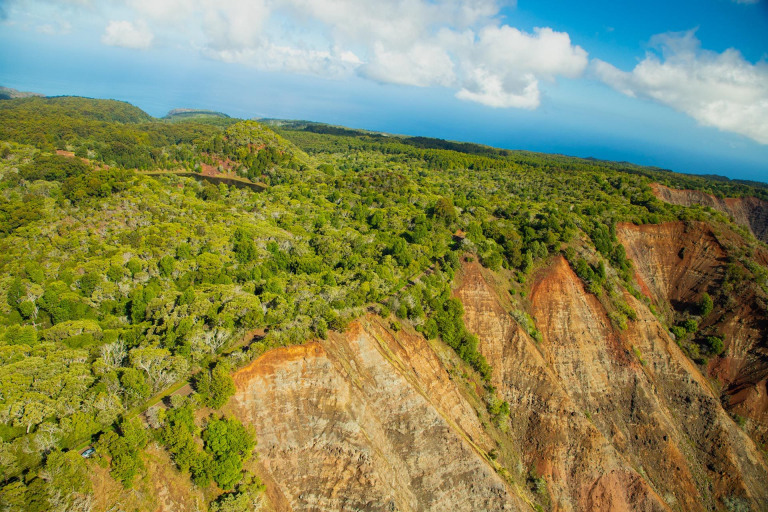 waimea-canyon-state-park-the-largest-canyon-in-the-pacific-kauai-768x512