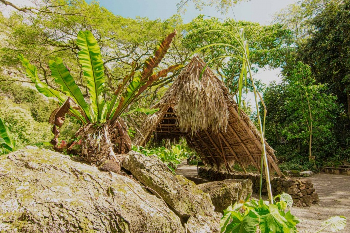waimea valley hawaiian hale oahu hawaii