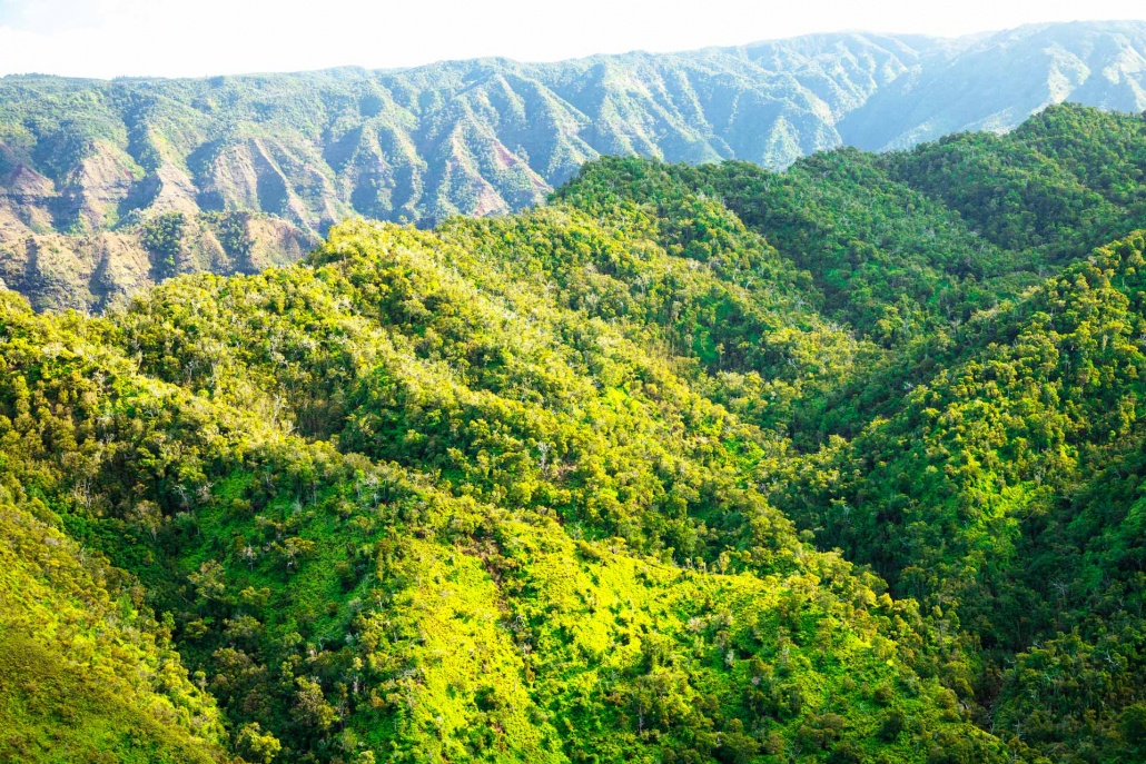 a panoramic view of waimea canyon kauai