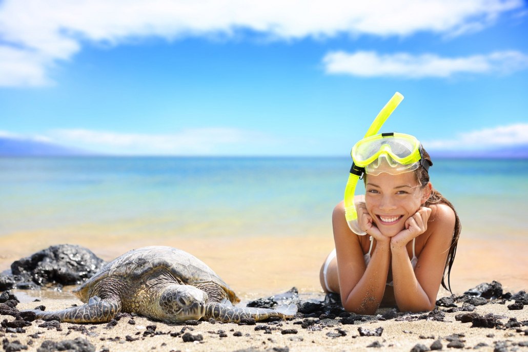best snorkeling and hawaiian sea turtles hawaii