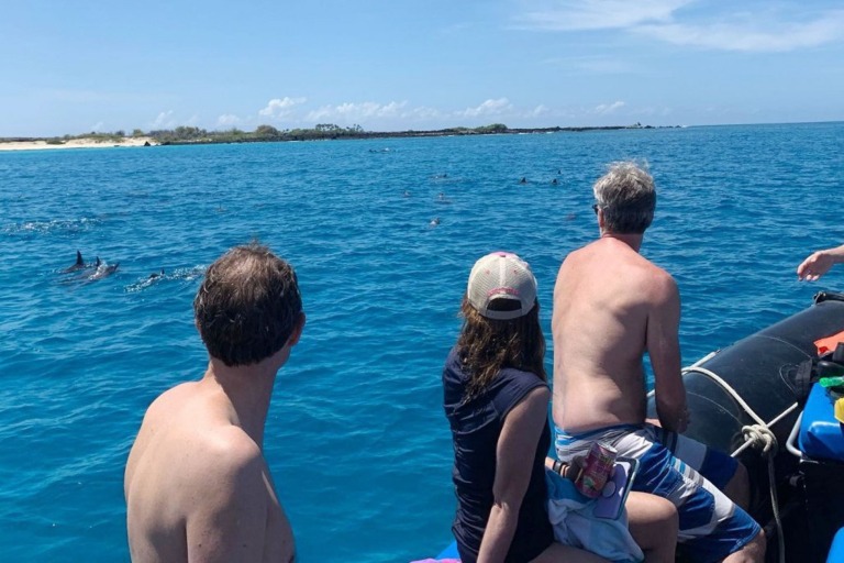 Captain Zodilac Beat The Crowd Kona Snorkeling Tour Feature Hawaian Wildlife