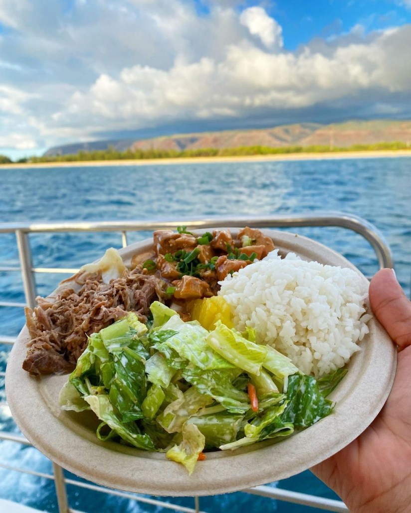 deli style packaged lunch kauai blue dolphin charters