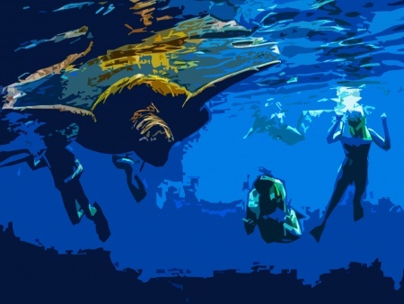 hawaiian sea turtle snorkeling