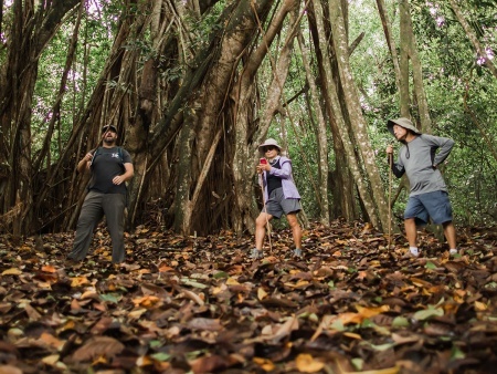hike through the west maui mountains through a private nature preserve helewai eco tours