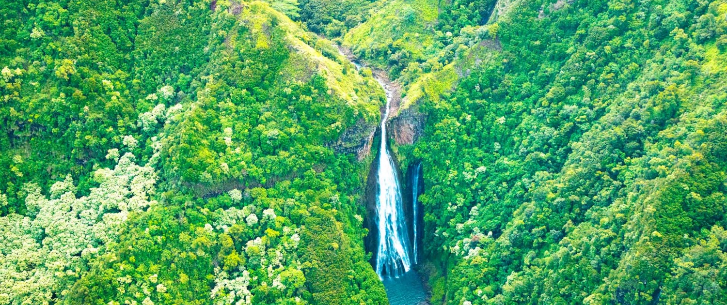jurassic falls kauai from above
