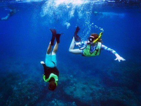 kauai island snorkel adventure