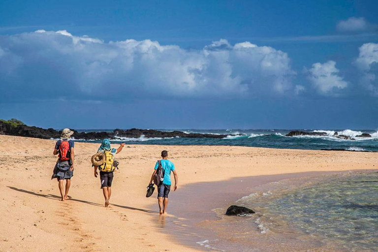 Kauaihikingtours Culture And History Beach