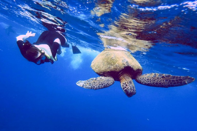 Kauaizodilactours Kauai South Island Boat Snorkel Tour Feature Spectacular Location