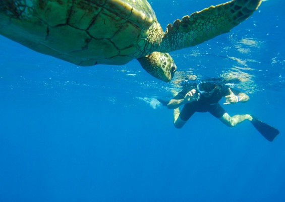Kauaizodilactours Kauai South Island Boat Snorkel Tour Slider Man Snorkel With Turtle