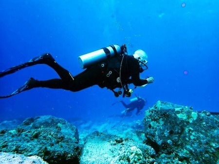 kona honu diver big island