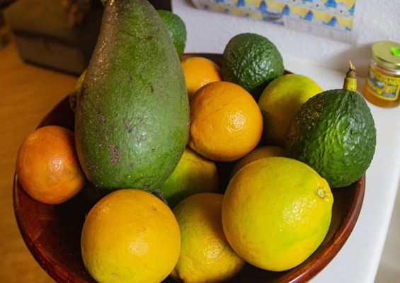 Onokaitours Hidden Culinary Delights Tour Slide Fruits