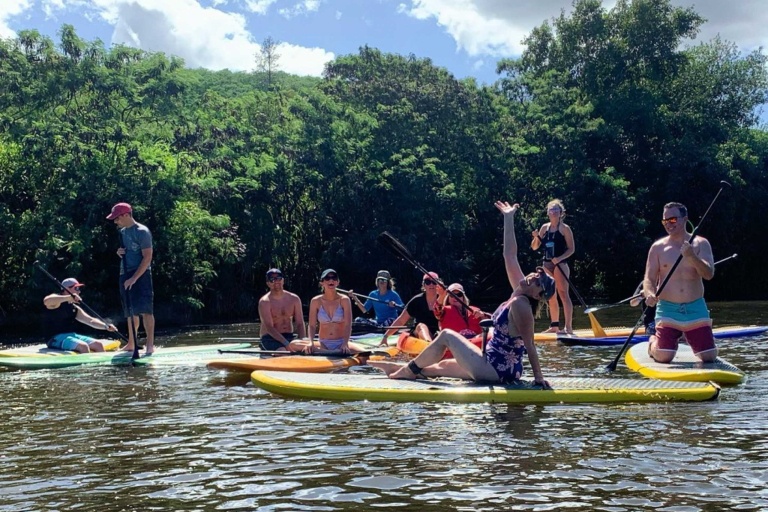 Rainbow Watersports Haleiwa Sup Open Group Lesson Feature Whole Family Take Photo