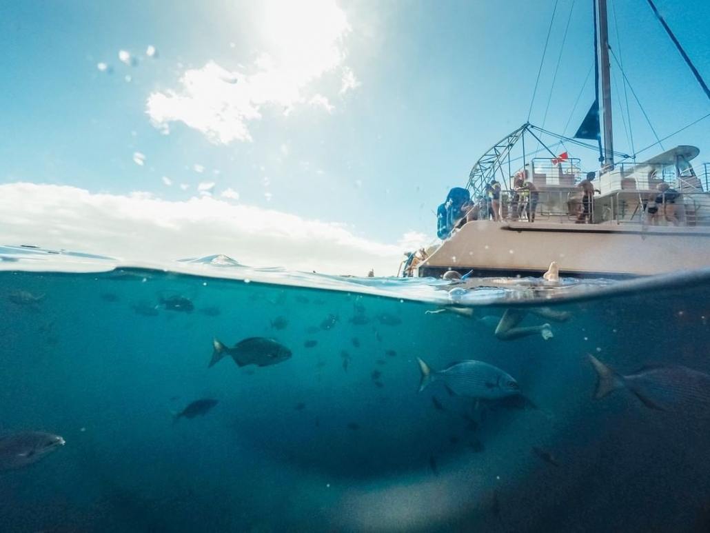 the most beautiful snorkeling spots in kauai kauai blue dolphin charters