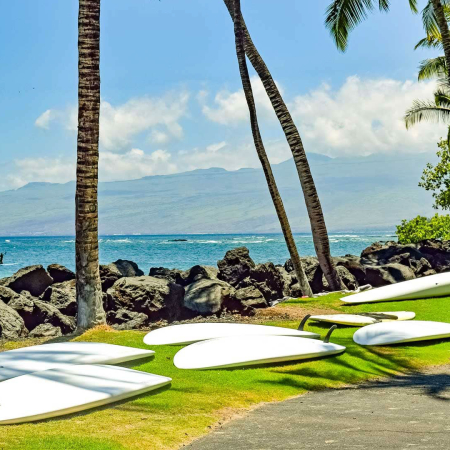 Big Island Surf Boards Beach Kona  Product