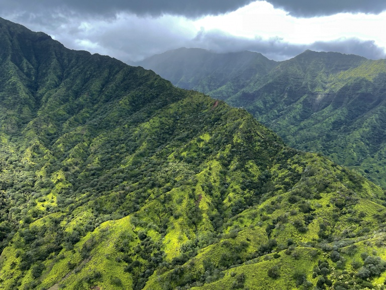 Central Kauai forest mountain ridge Overlook tour