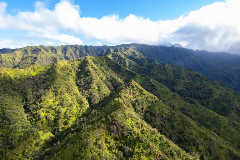 Central Kauai forest mountain top tour