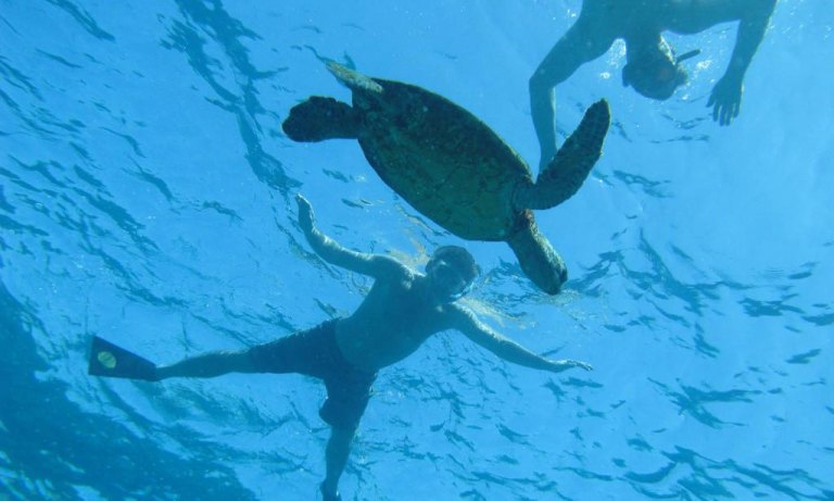 Sea Quest Hawaii Captain Cook Exclusive Kailua Kona snorkel