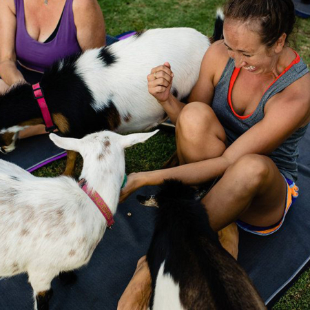 A New And Exciting Way To Experience Yoga