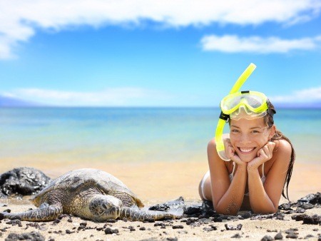 best snorkeling and hawaiian sea turtles on big island hawaii