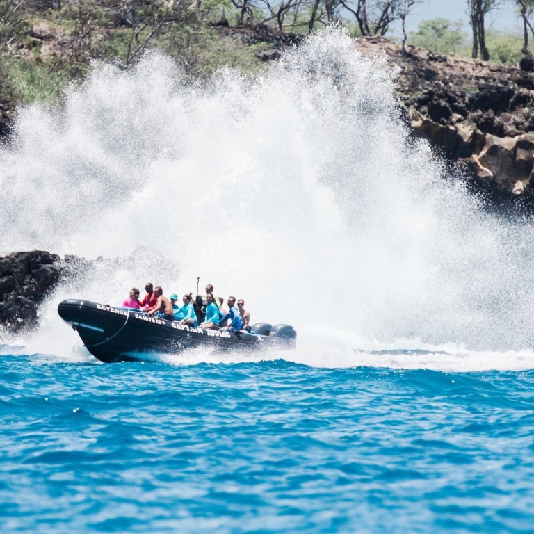 big island wildlife adventure tour captain zodiac