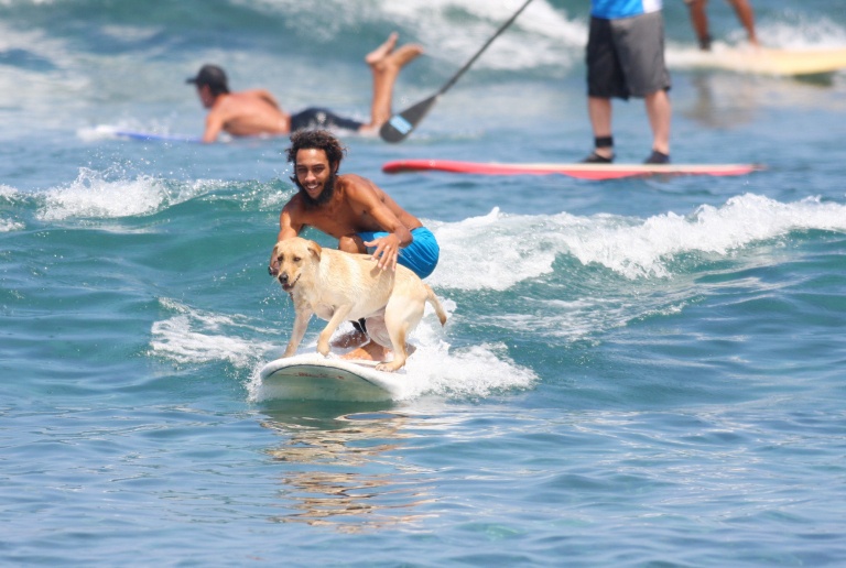 come on down to the kona lifeguards surf school and experience the best surf lessons in hawaii hawaii lifeguard surf instructors