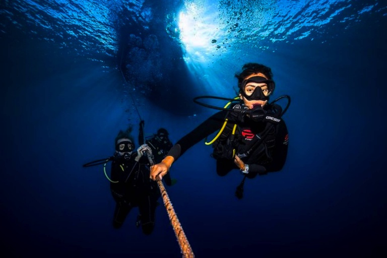 dive down  feet in oahu