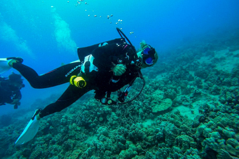 Diveoahu Night Diver Diver With Equiment