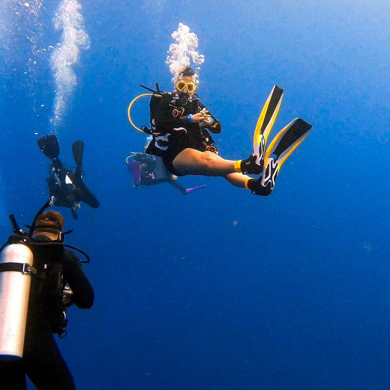 Diveoahu Night Diver Divers Having Fun