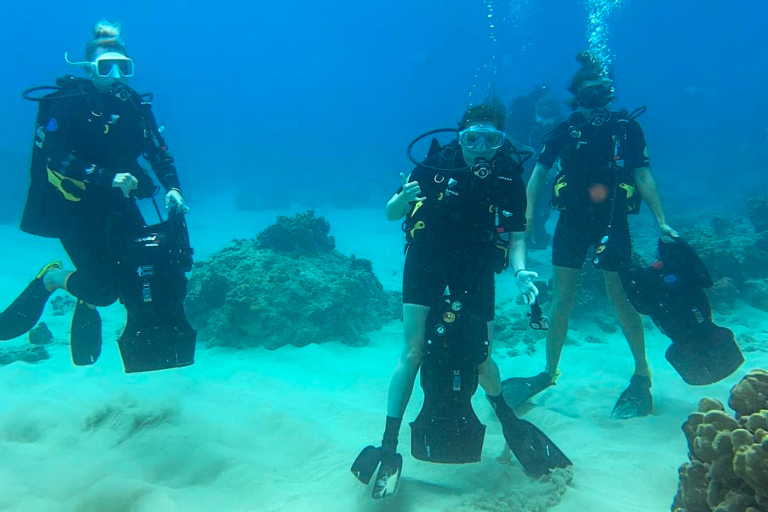 Diveoahu Night Diver Divers With Equipment