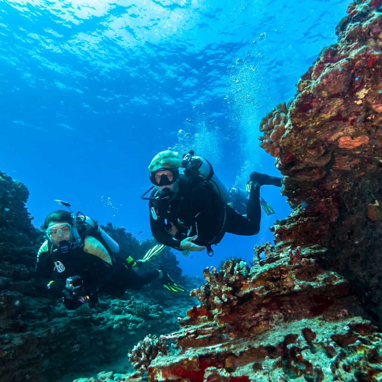 Diveoahu Snorkeling With Turtles Couple