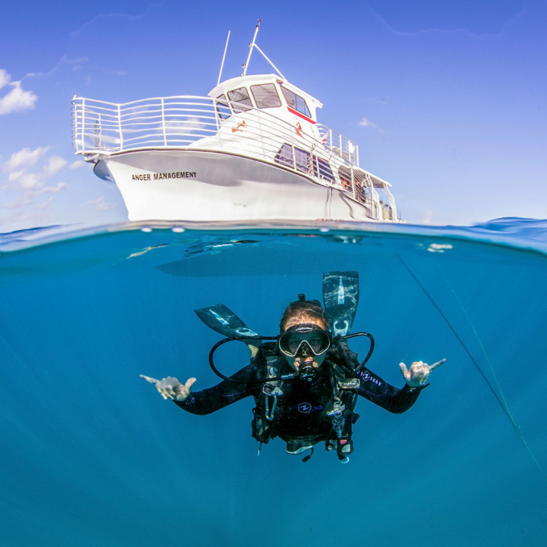 Diveoahu Snorkeling With Turtles View