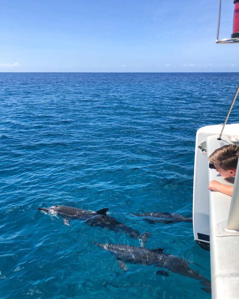 enjoying the breathtaking views mana cruises oahu snorkel tour