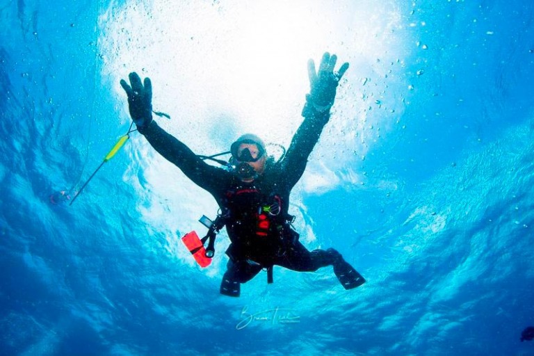 experienced divers will be able to enjoy the variety of marine life and complex sea landscape aloha scuba diving co
