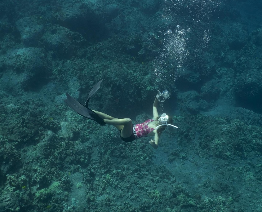 explore one of hawaiis best snorkeling spots sea paradise big island