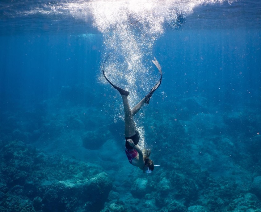 explore one of the best snorkeling areas in the island sea paradise big island
