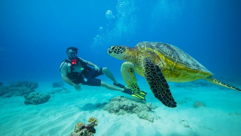 explore the underwater world in a completely new way introductory diving dive oahu
