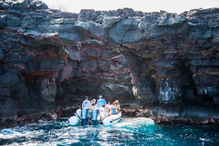 explore tropical reefs and meet colorful fish on a deluxe morning adventure big island sea quest hawaii