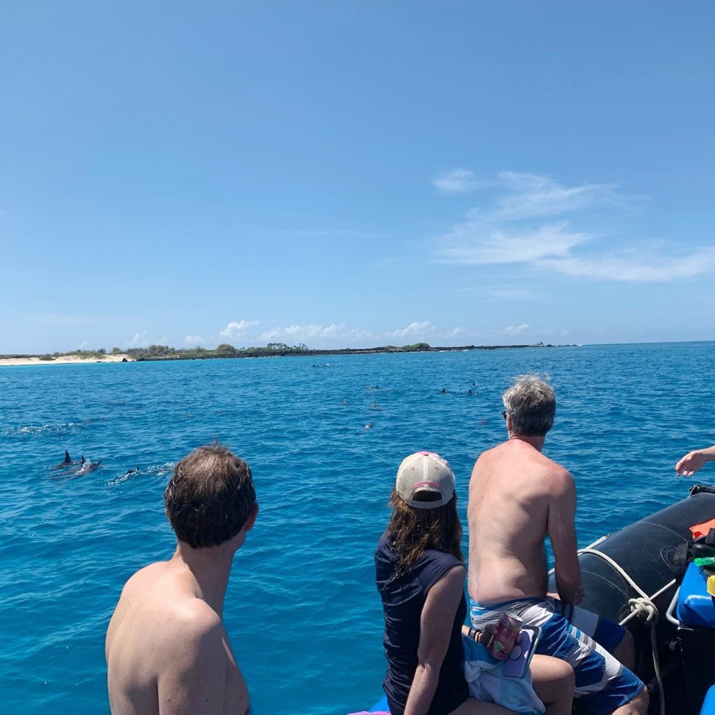 flat water clear skies whales and dolphins captain zodiac big island