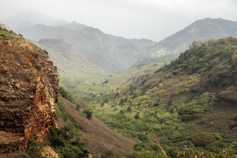 forest Hanapepe overlook kauai Nature