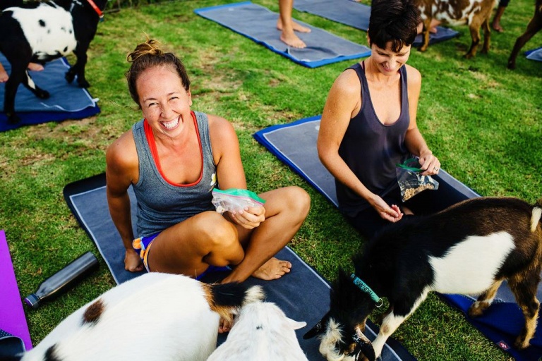 funny goat yaga time maui