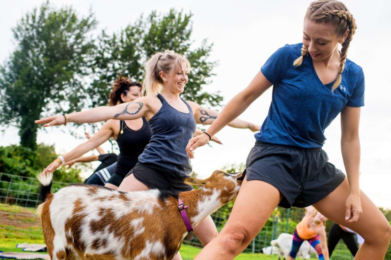 goat yoga time with friend maui