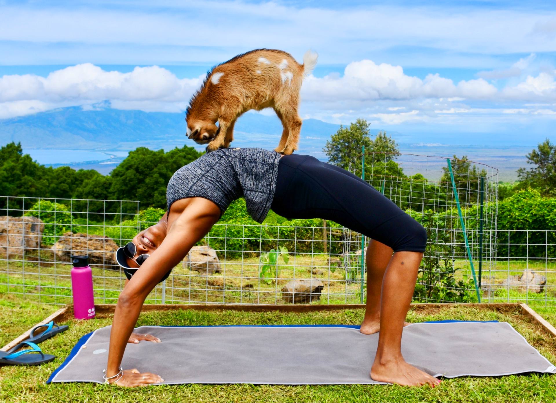 great goat yoga maui