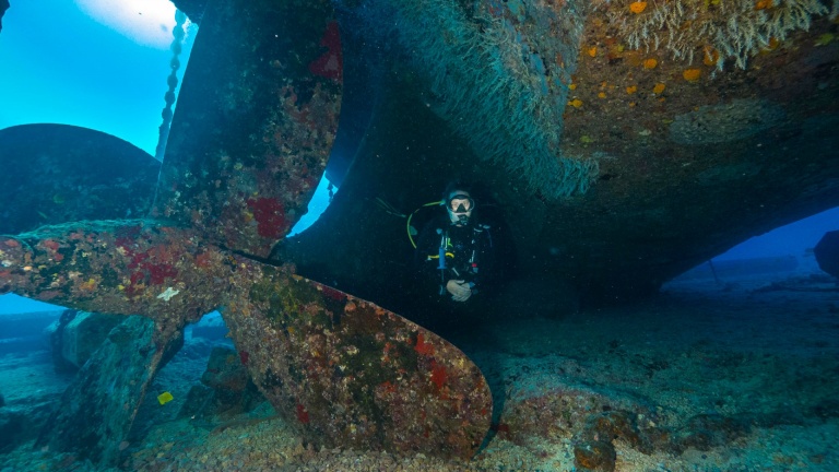 guided by an experienced padi certified guide oahu island dive oahu wreck and reef tour