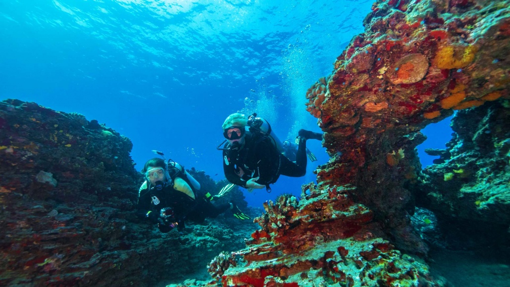 honolulus reefs are world famous for their abundant marine life and scenic beauty shallow reefs tour dive oahu