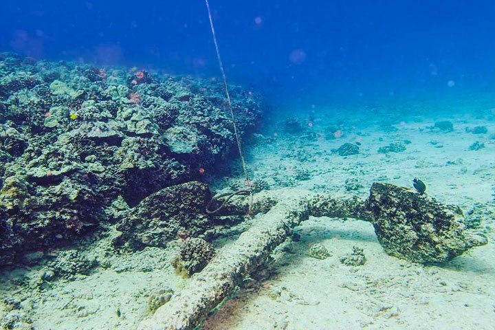 horseshoe reef anchor oahu coral reef diving hawaiian diving