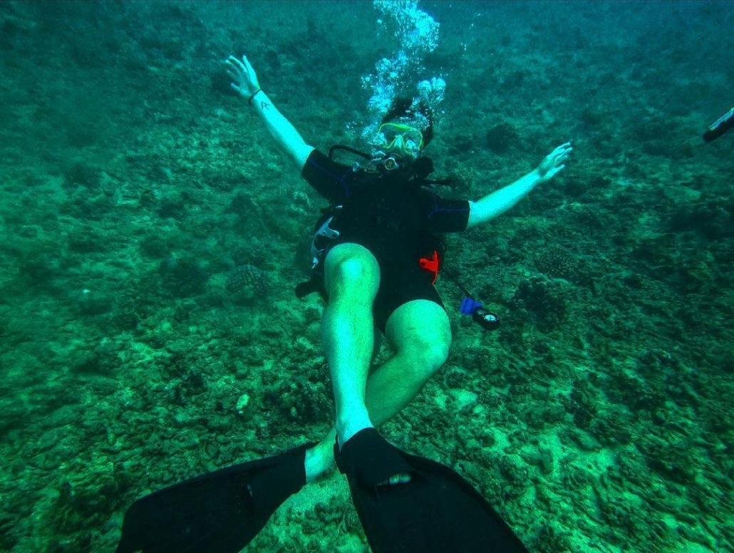 introductory divers program is the perfect way to get your feet wet diving dive oahu